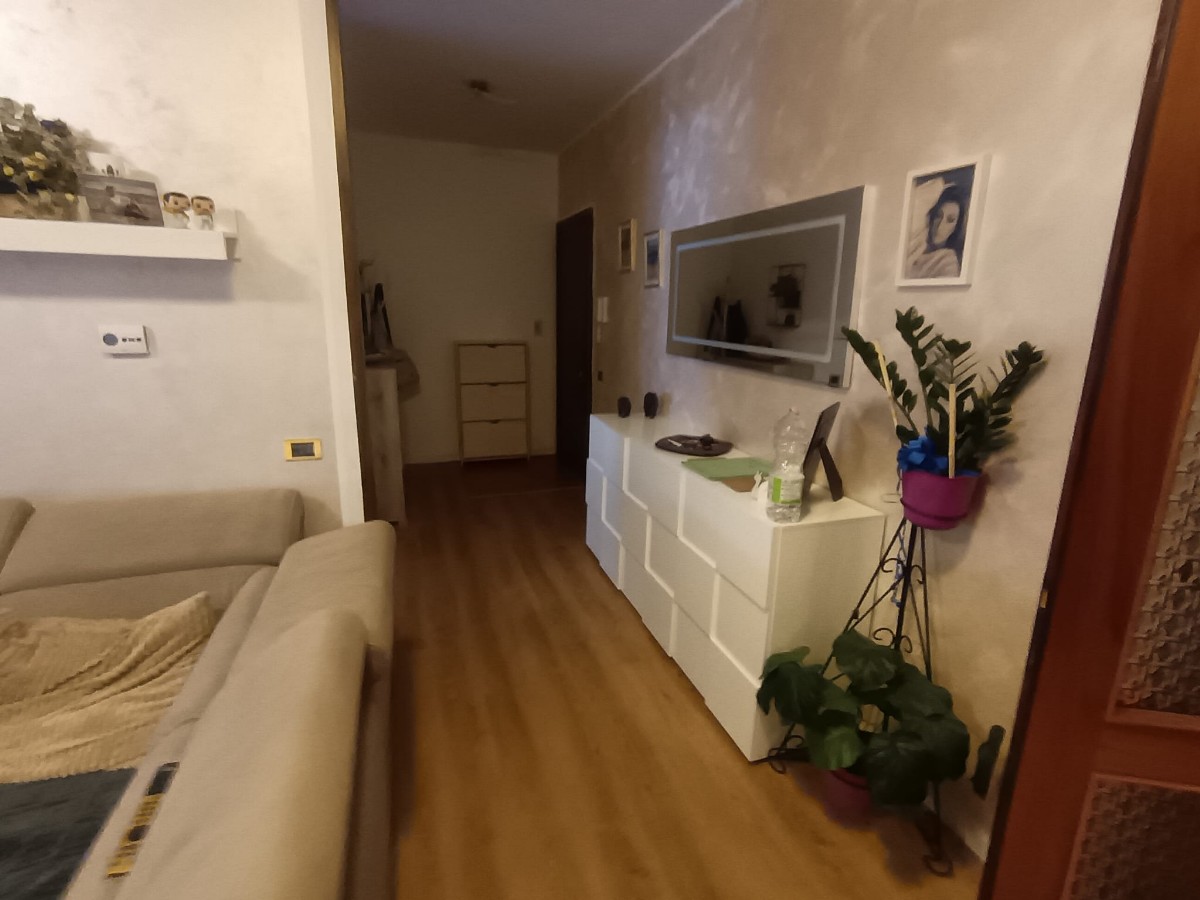 immagine annuncio 3 di 11