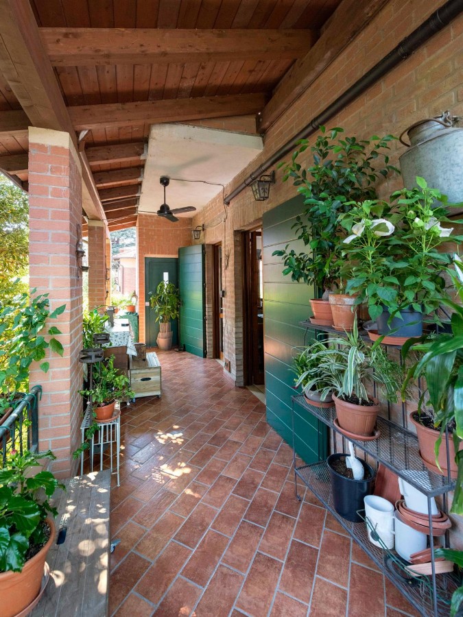 immagine annuncio 12 di 14