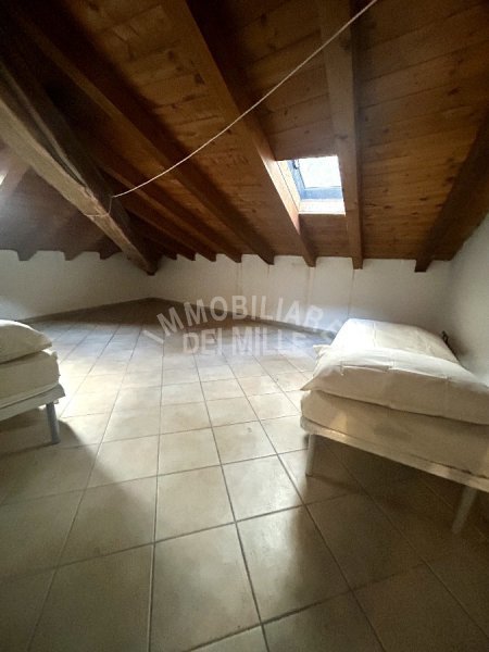 Immagine 6