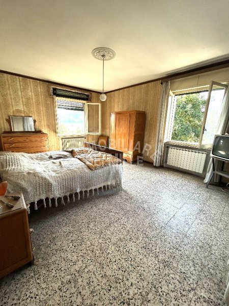 Immagine 6